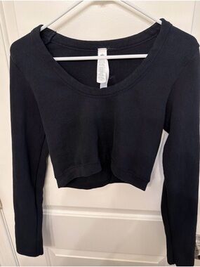 Alo Seamless Ribbed Cropped Serene Long Sleeve